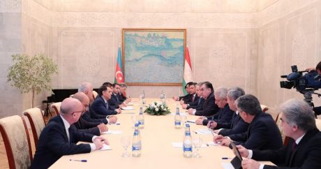 Отношения между Азербайджаном и Таджикистаном будут развиваться на основе дружбы и партнерства