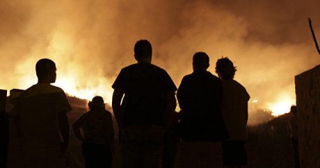 В Португалии бушуют более 20 пожаров из-за жары