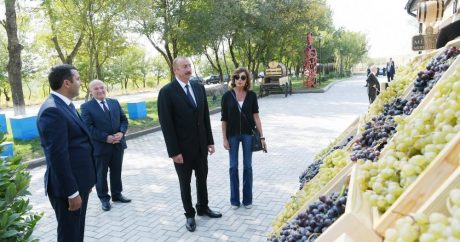 Ильхам Алиев принял участие в открытии ряда объектов