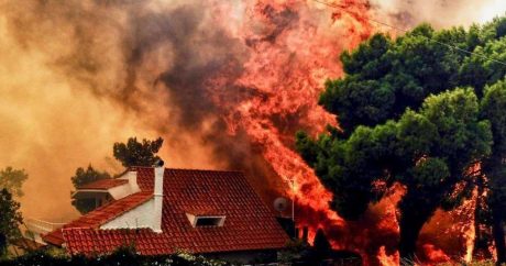 Число жертв лесных пожаров в пригородах Афин достигло 94 человек