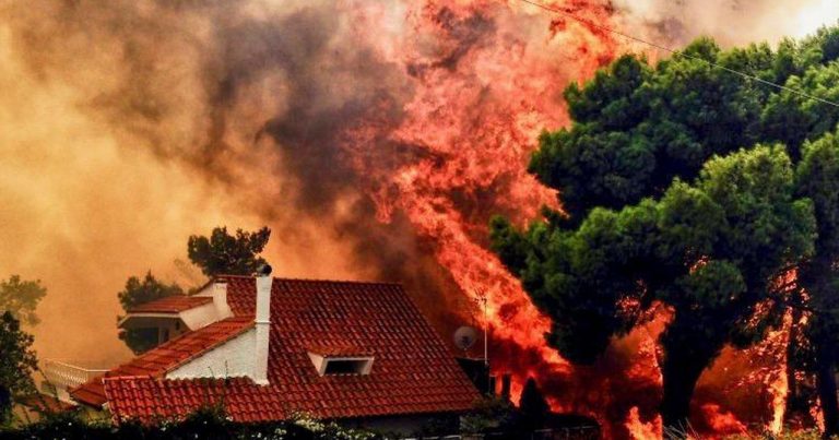 Число жертв лесных пожаров в пригородах Афин достигло 94 человек