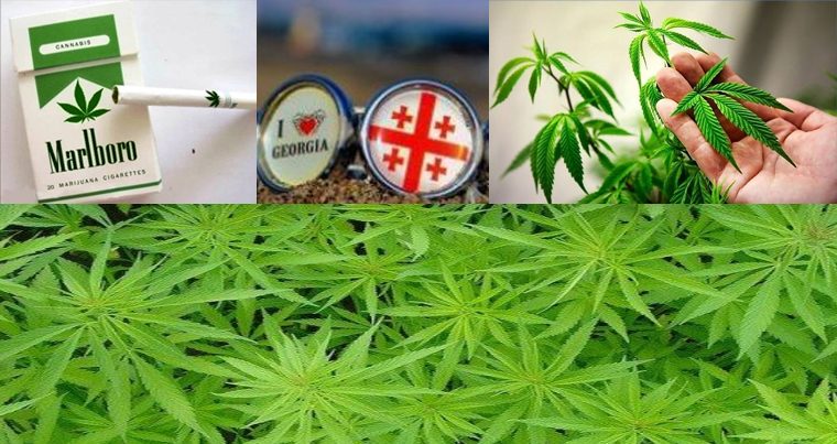 В Грузии узаконили употребление марихуаны: Парламент принял новые правила