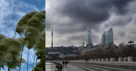 В Азербайджане ожидаются сильный дождь и порывистый ветер