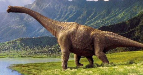 Останки динозавра нашли в Монголии