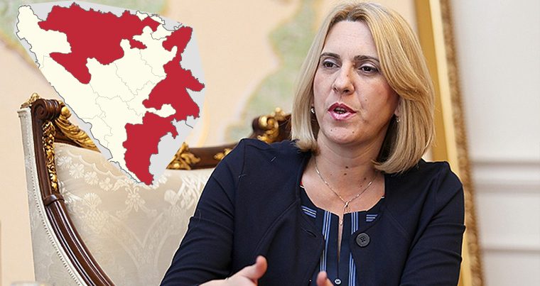 Желька Цвиянович победила на выборах президента Республики Сербской