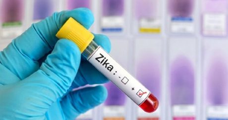 Вирус Зика распространяется в Индии