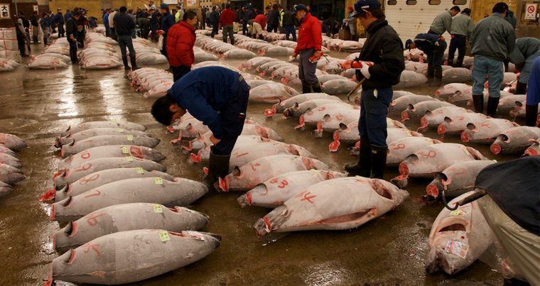 В Токио переносят самый крупный рыбный рынок мира
