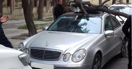 ИВ Баку предупредила водителей в связи с сильным ветром