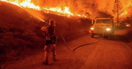 Число жертв пожаров в Калифорнии возросло до 84