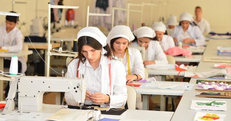 В Азербайджане создано 10 центров профобразования