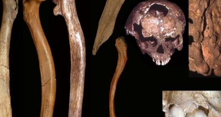 Ученые обнаружили аномалии развития у древних людей