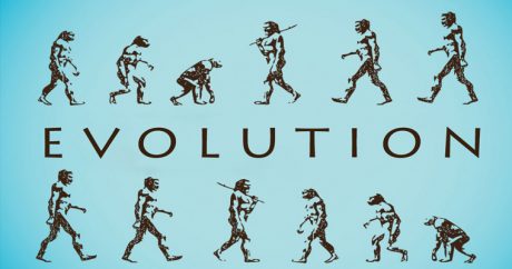 Люди до сих пор эволюционируют и даже быстрее, чем раньше