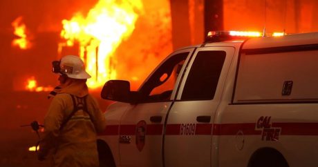Калифорния: в результате лесных пожаров пропали без вести 1276 человек