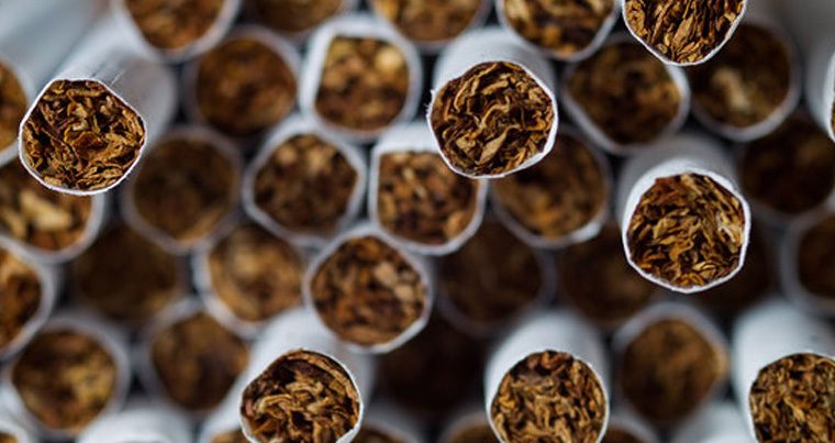 В Азербайджане значительно увеличится производство табачной продукции