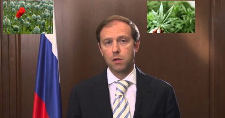 В России будут выращивать наркосодержащие растения для лекарств