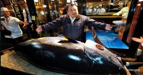 в Токио голубого тунца продали за рекордную сумму