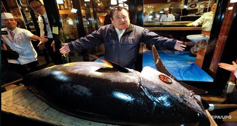 На аукционе в Токио голубого тунца продали за рекордную сумму — Видео