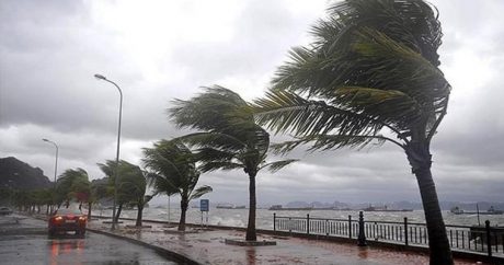 В Турции обнародована сумма ущерба от ураганов
