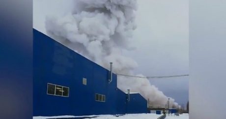 Сильный взрыв на химзаводе в Ленинградской области
