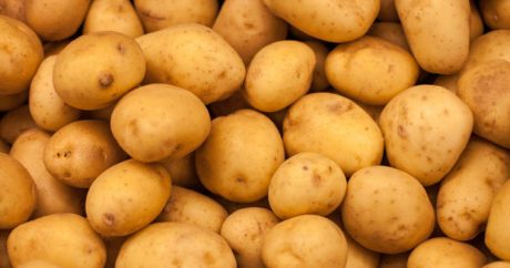 В иранской провинции запретили сажать картофель