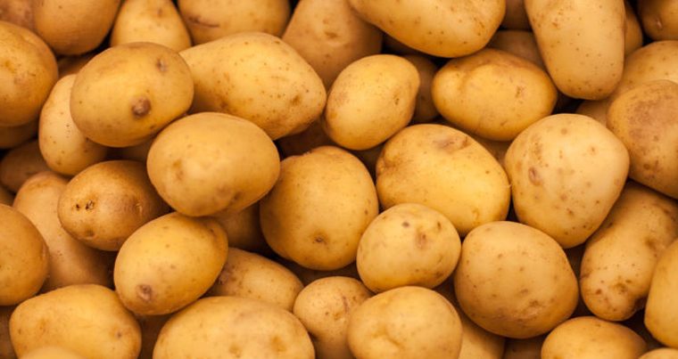 В иранской провинции запретили сажать картофель