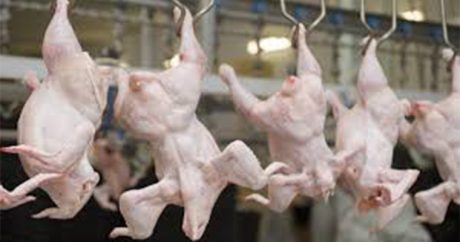 Азербайджан импортировал из Украины более 20 тыс тонн птичьего мяса