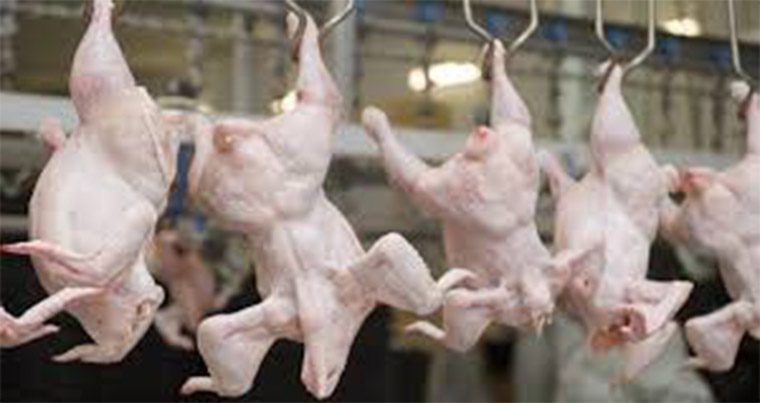 Азербайджан импортировал из Украины более 20 тыс тонн птичьего мяса