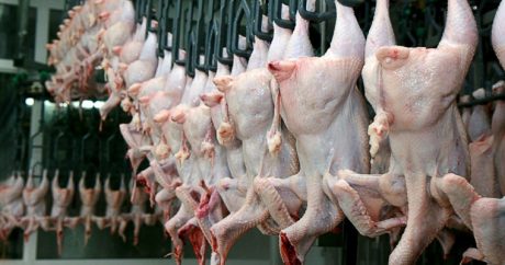 Азербайджан ограничил импорт куриной и мясной продукции из России