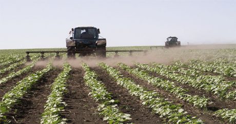 В Азербайджане упростят работу фермерам