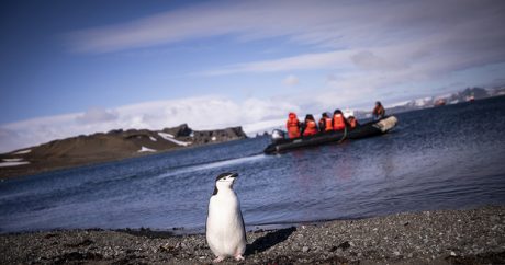 Третья турецкая научная экспедиция достигла Антарктики