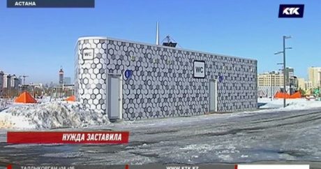 Тысячу туалетов по немецкой технологии построят в Казахстане