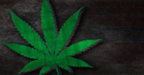 Швейцария может легализовать продажу марихуаны