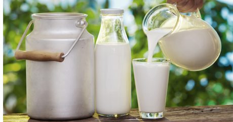 Какое молоко самое полезное: козье, коровье или кокосовое?