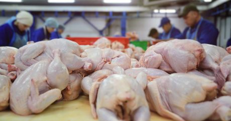Азербайджан импортировал из Украины 1,9 тыс. тонн мяса птицы