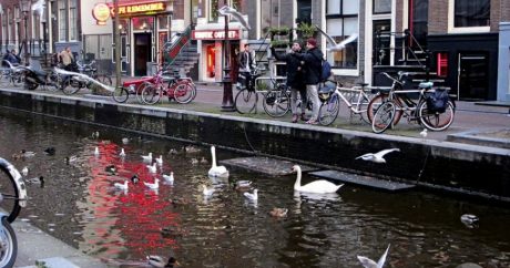 Туристам запретят посещать знаменитый квартал Красных фонарей в Амстердаме