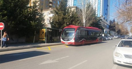 В Азербайджане изменены требования к автобусным остановкам и стоянкам такси