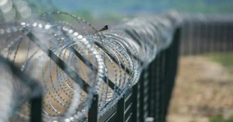 Латвия возвела на границе с Россией 93-километровый забор с колючей проволокой