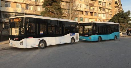 В Баку выросло число пассажирских маршрутов