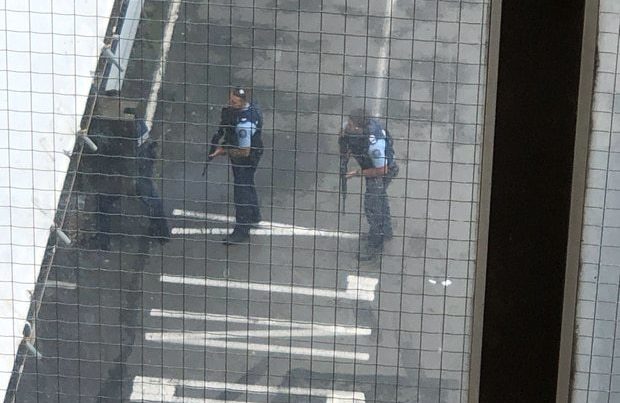 В Новой Зеландии произошла стрельба в нескольких мечетях, погибли 27 человек
