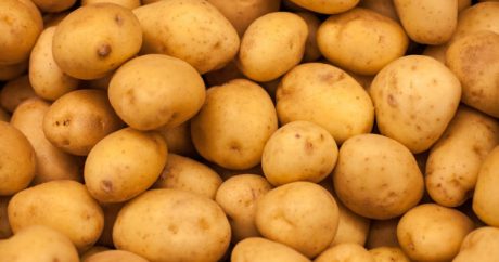 В Турции отменена пошлина на импорт картофеля