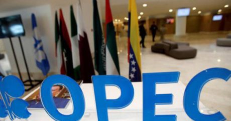 Структура ОПЕК предоставила кредит Узбекистану на $54 млн
