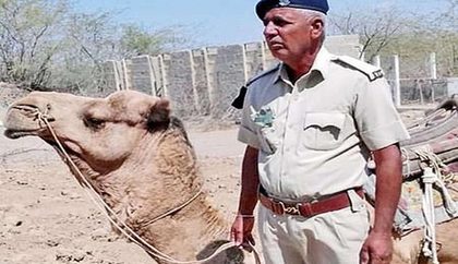 Полицейский верблюд впал в депрессию и отказался от еды после смерти напарника