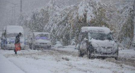 В двух провинциях Турции из-за снегопада отменены занятия