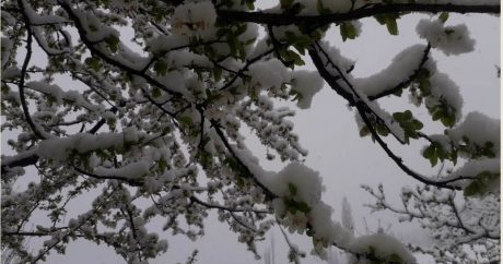 В Губинском районе Азербайджана выпал снег