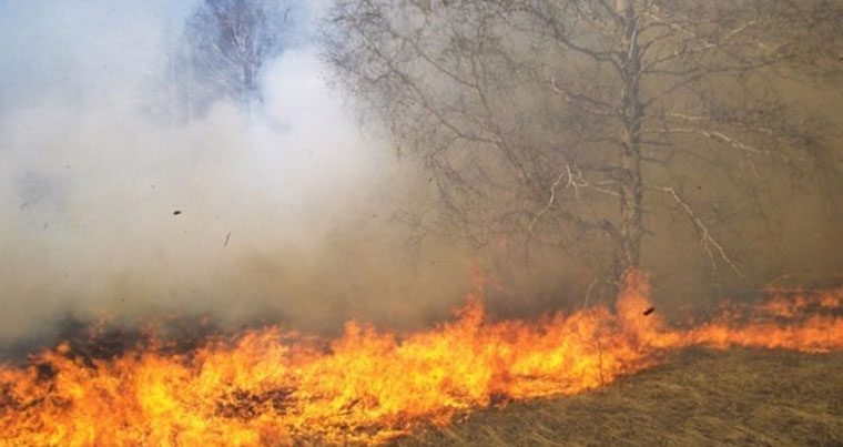 В Забайкалье горят села: уничтожены десятки жилых домов — Видео