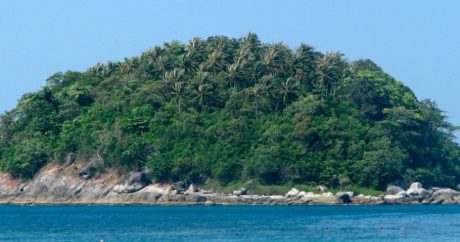 Индонезийский остров закроют для туристов из-за кражи ящериц