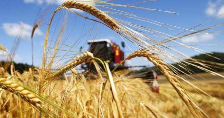 В Азербайджане зарегистрируют электронные данные о фермерах
