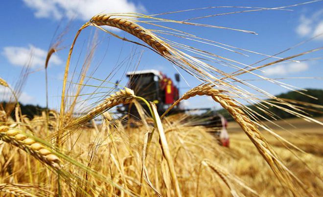 В Азербайджане зарегистрируют электронные данные о фермерах