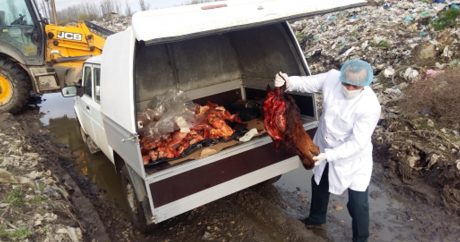 Обнаружено до 150 кг мяса неизвестного происхождения — ФОТО 