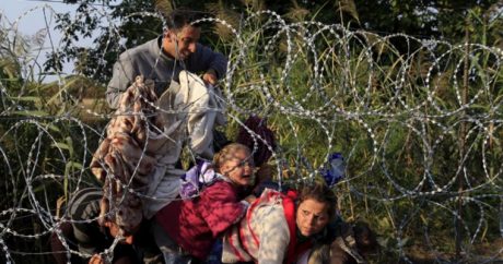 ООН: Венгрия не кормит беженцев, которым отказали в приюте